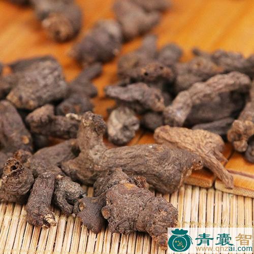 中药材老鼠图片