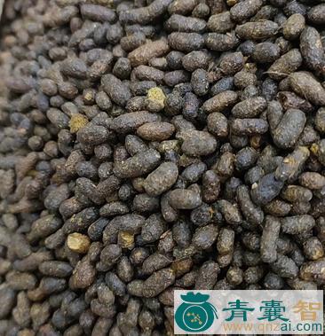 中药材老鼠屎图片