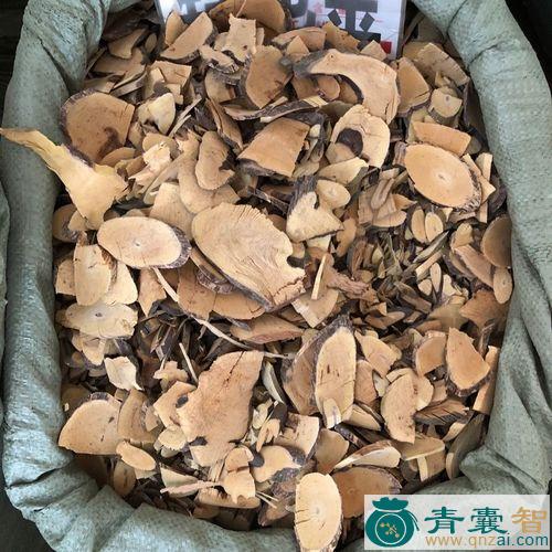 中药材老鼠铃图片