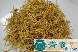 中药材老龙须图片