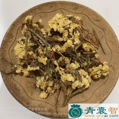 中药材耐惊花图片