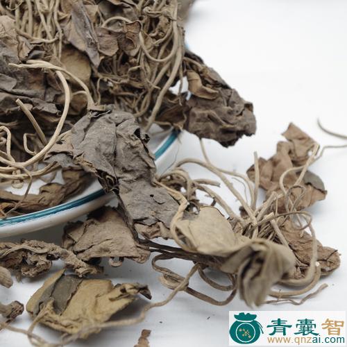 中药材耳坠风图片
