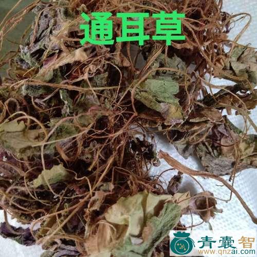 中药材耳朵红图片