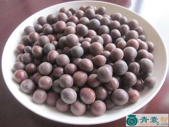 中药材联珠果图片