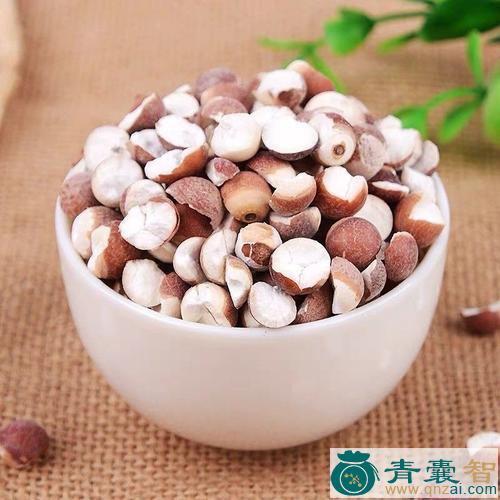 中药材肇实图片