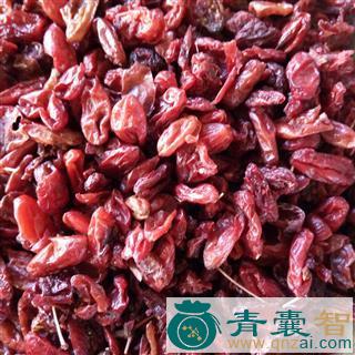 中药材肉枣图片