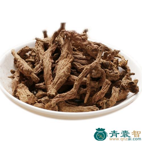 肉根还阳参的性味归经以及功效用法-青囊智