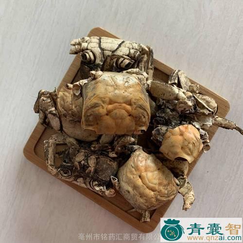 中药材肉螃蟹图片