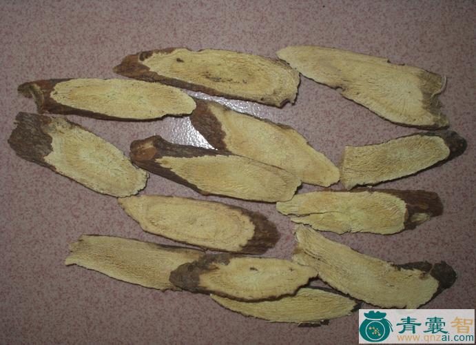 中药材胀饱草图片