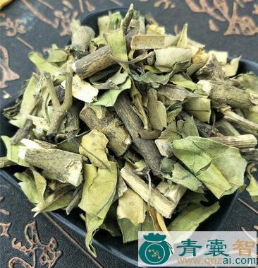 背梁骨的性状性味归经以及功效用法-青囊智