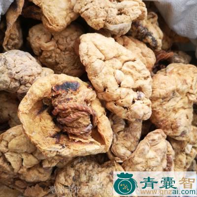 胎衣的性状性味归经以及功效用法和注意事项-青囊智