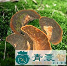 中药材胡孙眼图片