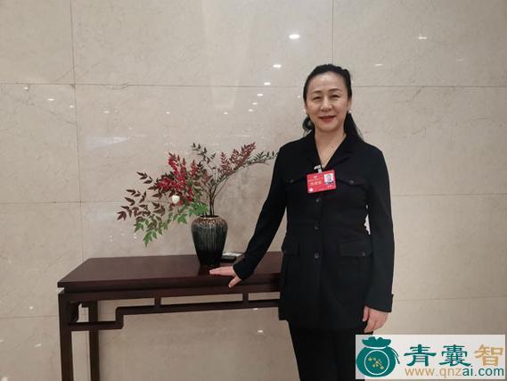 中药材胡燕图片