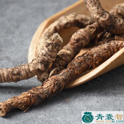 胡连的性状性味归经以及功效用法和注意事项-青囊智