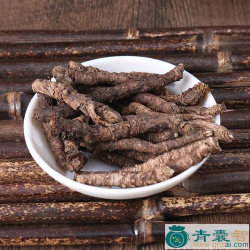中药材胡黄连图片