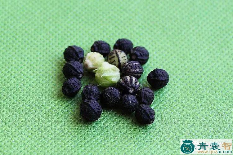 中药材胭粉豆图片