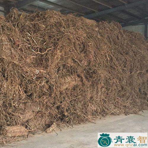 中药材胶皮麻图片