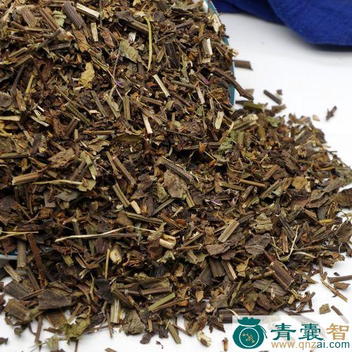 中药材胶质鼠尾草图片