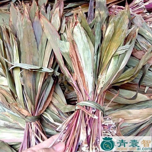 中药材脂红叶图片