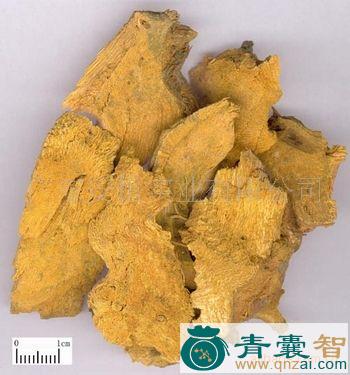 中药材脊龙图片
