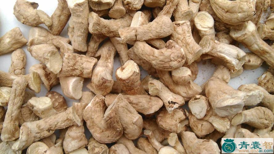 脚菇的性状性味归经以及功效用法-青囊智