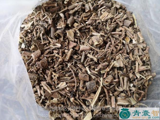 腰带七的性味归经以及功效用法和注意事项-青囊智