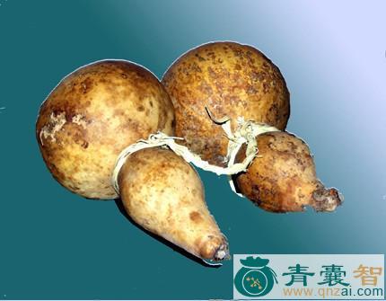 中药材腰舟图片