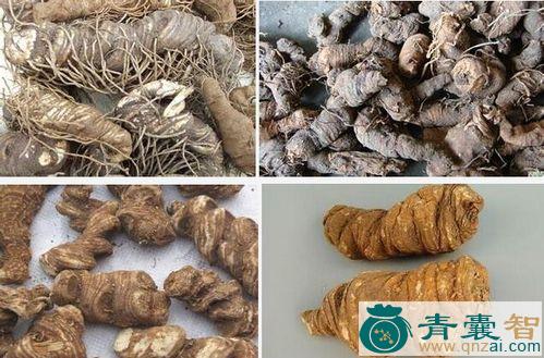 中药材膏叶盘图片