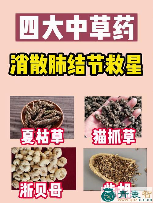 自消散的性状性味归经以及功效用法-青囊智