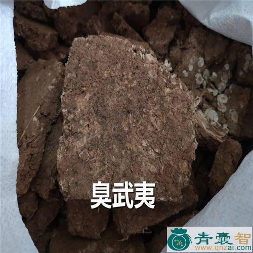 中药材臭图片