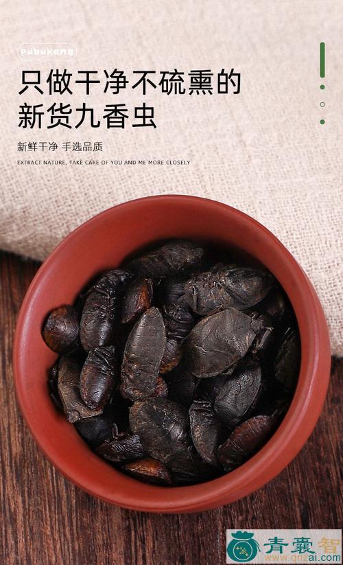 中药材臭子图片
