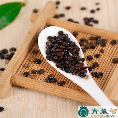 中药材臭枳子图片