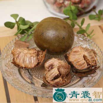中药材臭芙蓉图片