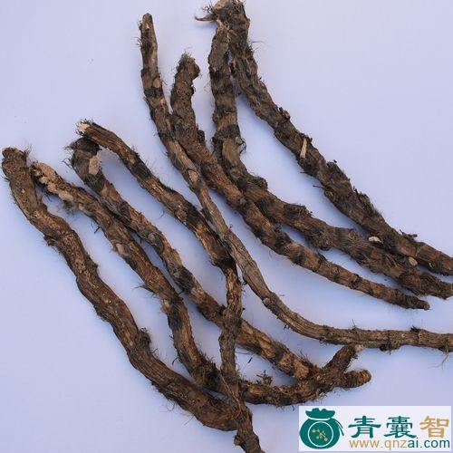 中药材臭菖图片