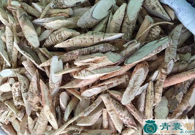 臭豆角的性状性味归经以及功效用法和注意事项-青囊智