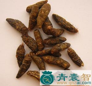 中药材臭马桂图片
