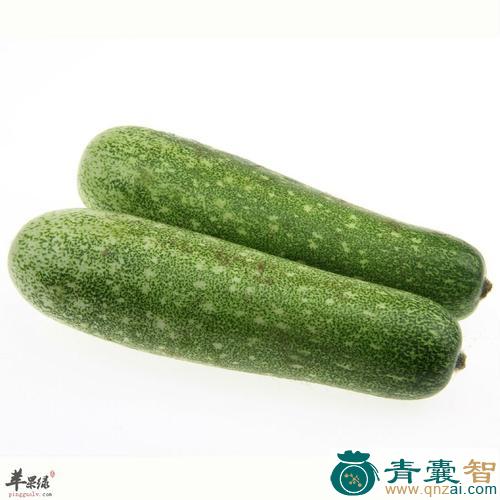 中药材节瓜图片