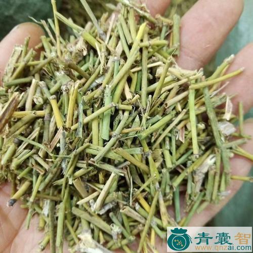 中药材节节黄图片