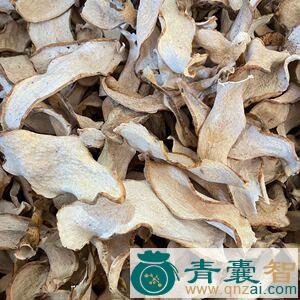 中药材芋荷图片