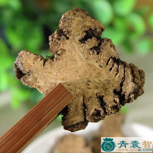 芎藭的性状性味归经以及功效用法和注意事项-青囊智