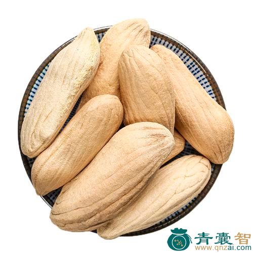 芒子的性状性味归经以及功效用法和注意事项-青囊智