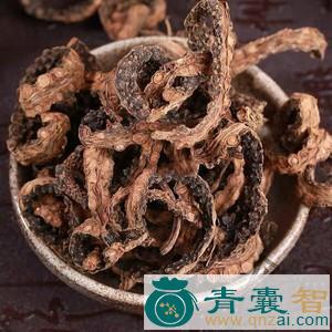 中药材芦子疙瘩图片