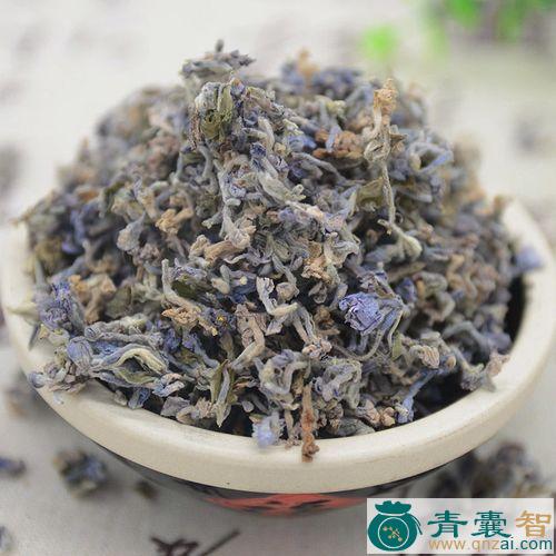 芫条花的性状性味归经以及功效用法和注意事项-青囊智