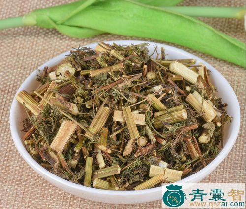 中药材芫蒿图片