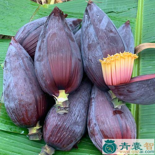 中药材芭蕉头图片