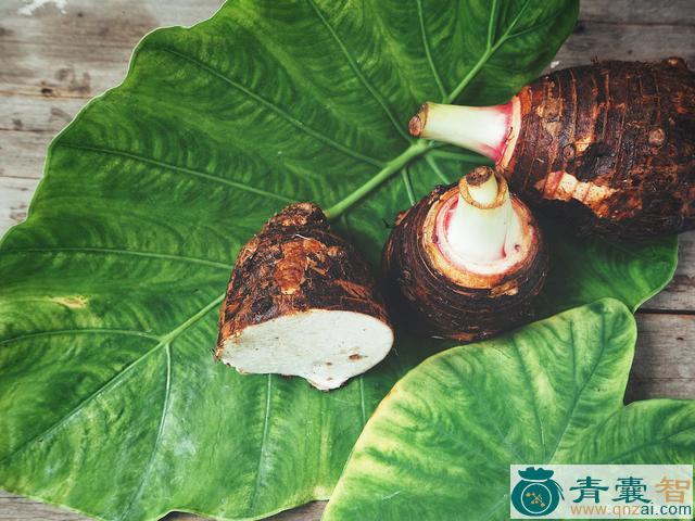 中药材芭蕉芋图片