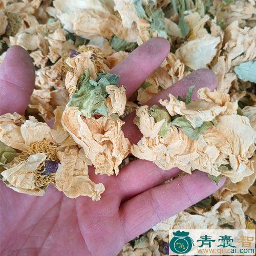 中药材花上花图片