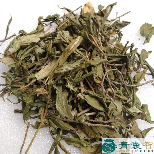 中药材花叶叶图片