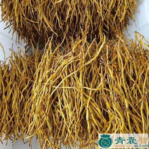 花条的性状性味归经以及功效用法-青囊智