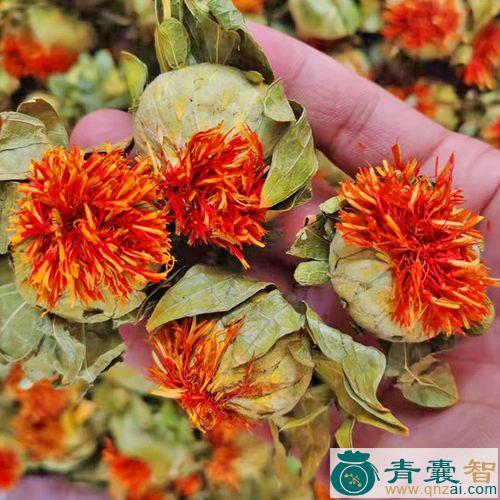 中药材花红图片